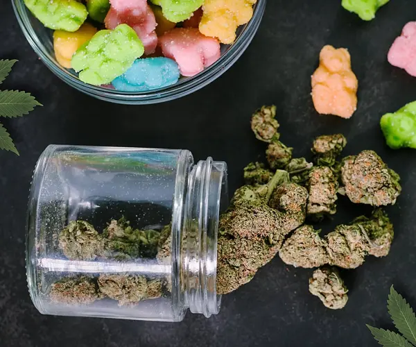 Weed Edibles