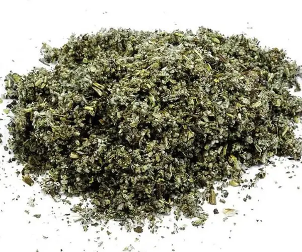 Salvia