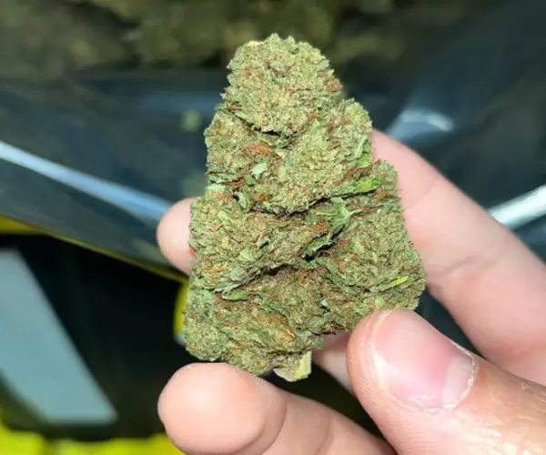 Lemon Diesel