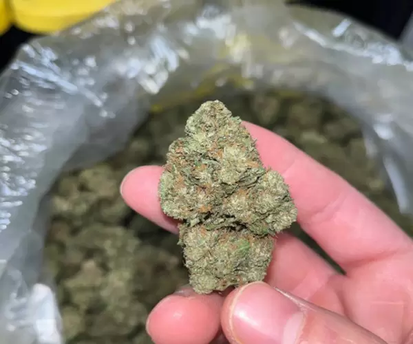 Skywalker OG Deps