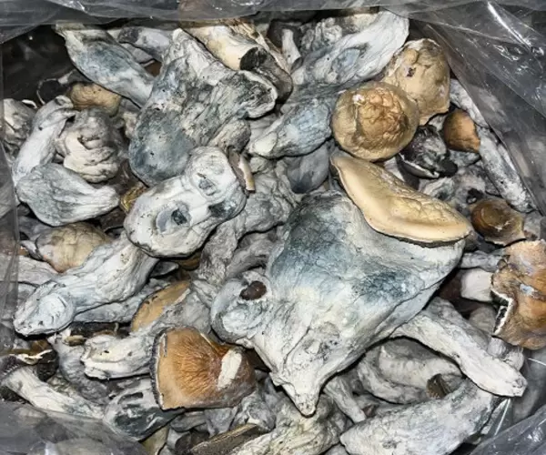 Raw Mushrooms (Bull Run)